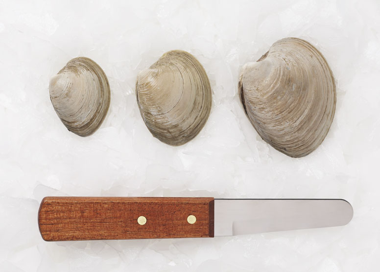 Hard Shell Clams » Atlantic Aqua Farms USA