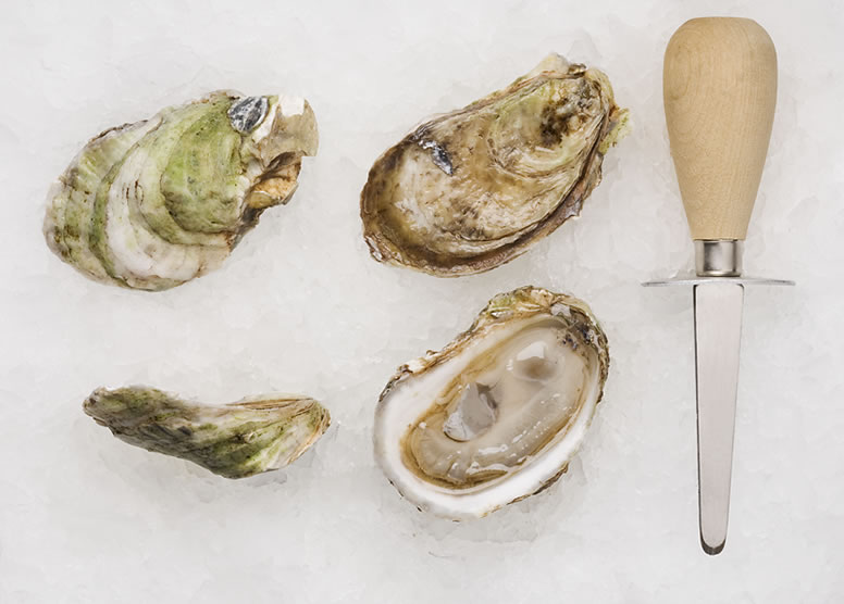 Lady Chatterley Oysters » Atlantic Aqua Farms USA