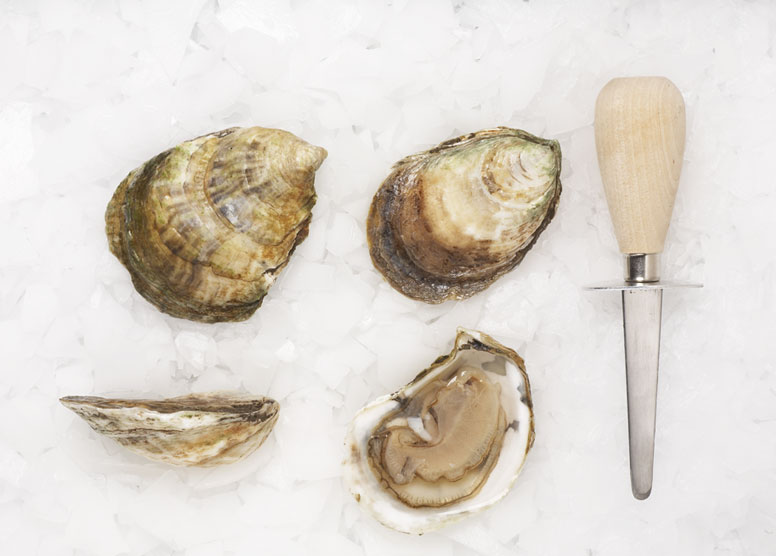 North Haven Oysters » Atlantic Aqua Farms USA