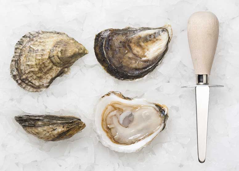 Pemaquid Point Oysters » Atlantic Aqua Farms USA