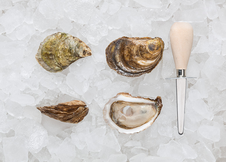 Gooseberry Bay Oysters » Atlantic Aqua Farms USA