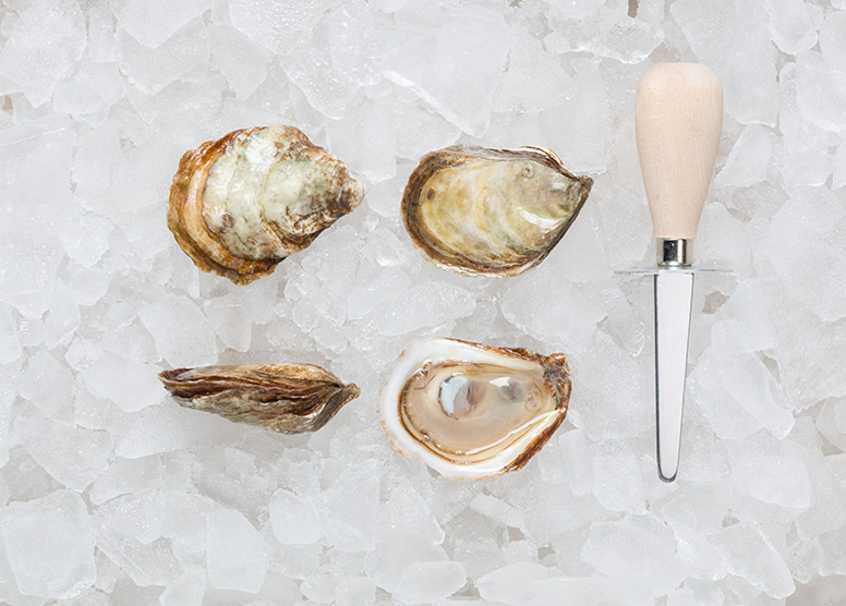 Irish Point Oysters » Atlantic Aqua Farms USA
