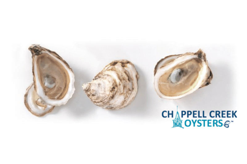 Chappell Creek Oysters » Atlantic Aqua Farms USA