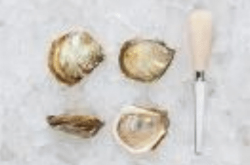 Queen's Cup Oysters » Atlantic Aqua Farms USA