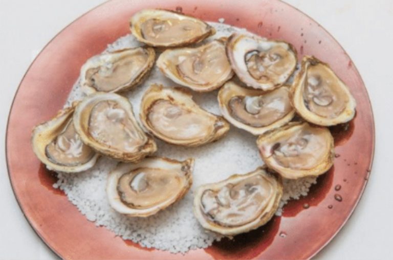Shiny Seas Oysters » Atlantic Aqua Farms USA