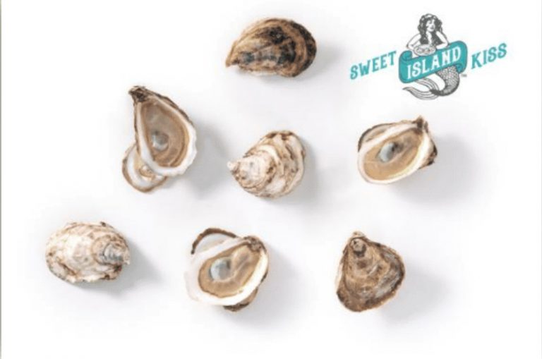 Sweet Island Kiss Oysters » Atlantic Aqua Farms USA